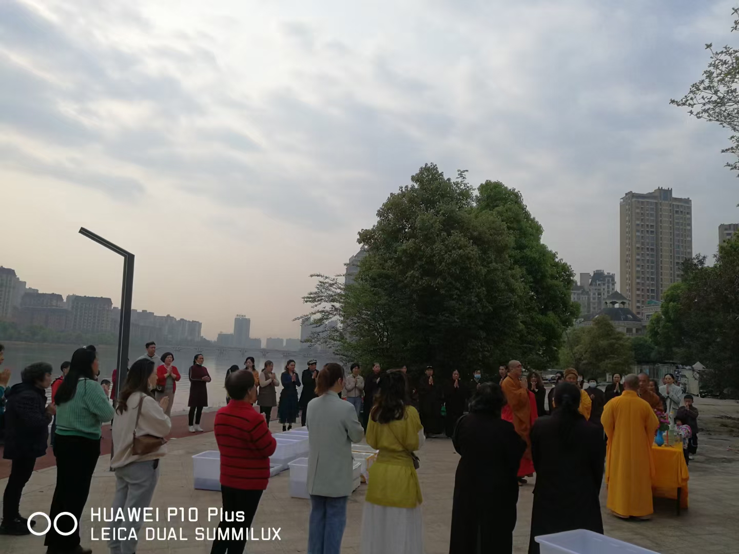 大象彩票准提菩萨圣诞日法会通启
