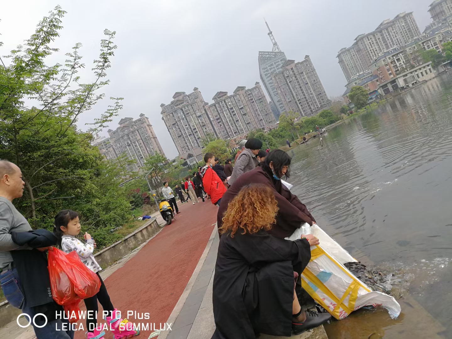 大象彩票准提菩萨圣诞日法会通启